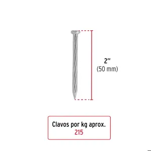 Fiero Bolsa con 1 kg de clavos para concreto galvanizados 2