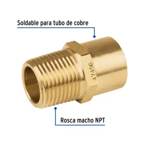 Conector NPT soldable de latón, 1/2