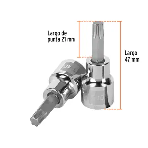 Dado punta torx T-40, cuadro 3/8