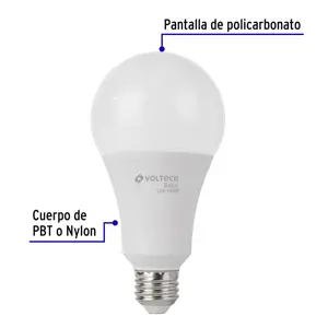 Volteck Lámpara LED A25 18 W (equiv. 125 W), luz de día, caja, Basic