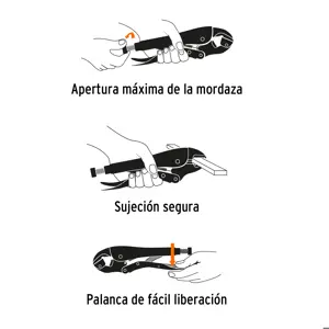 Pinza de presión 12