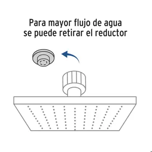 Foset Regadera cromo 10